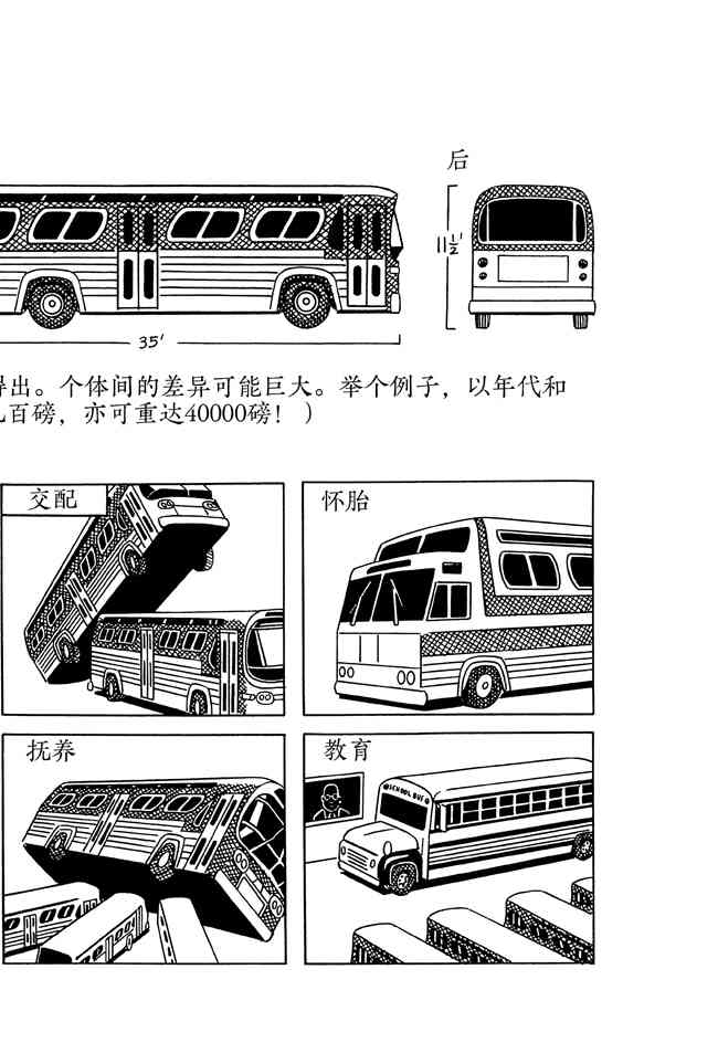 巴士 7卷 第14页