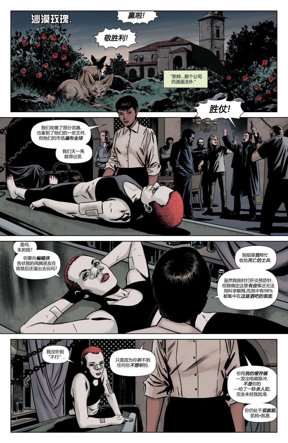 蝙蝠女侠-重生4卷图