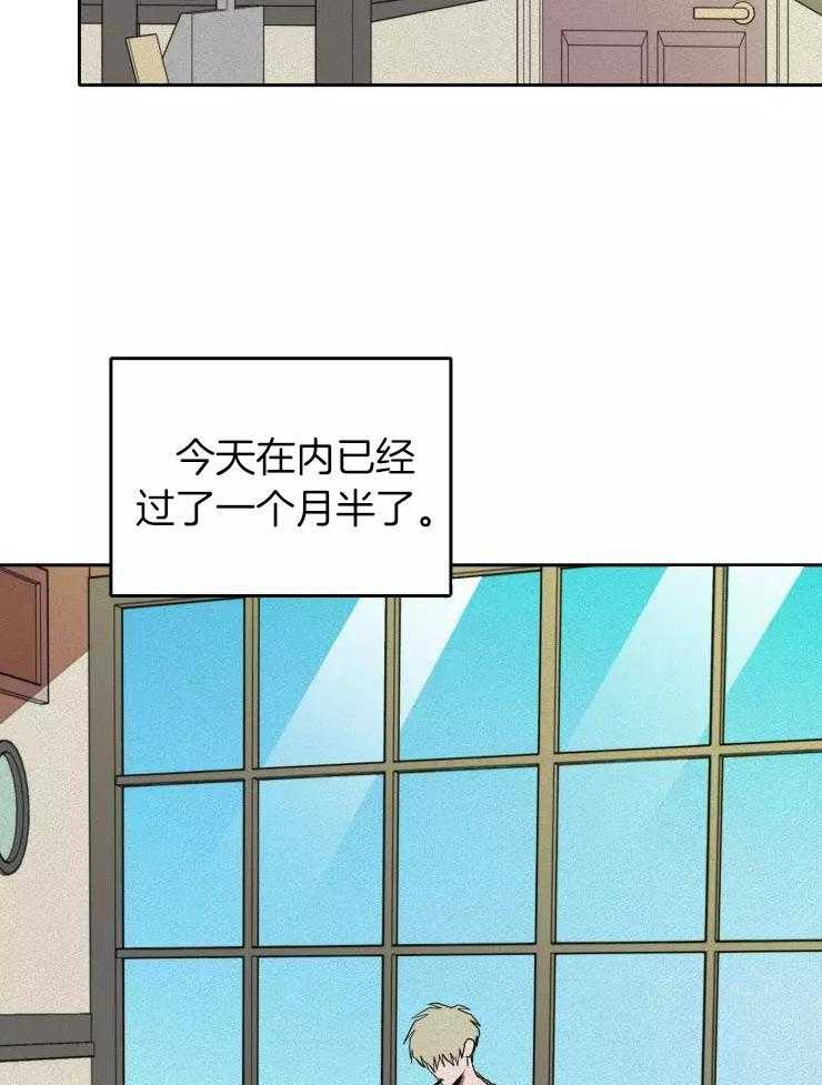 笨蛋杀手送上门第31话图