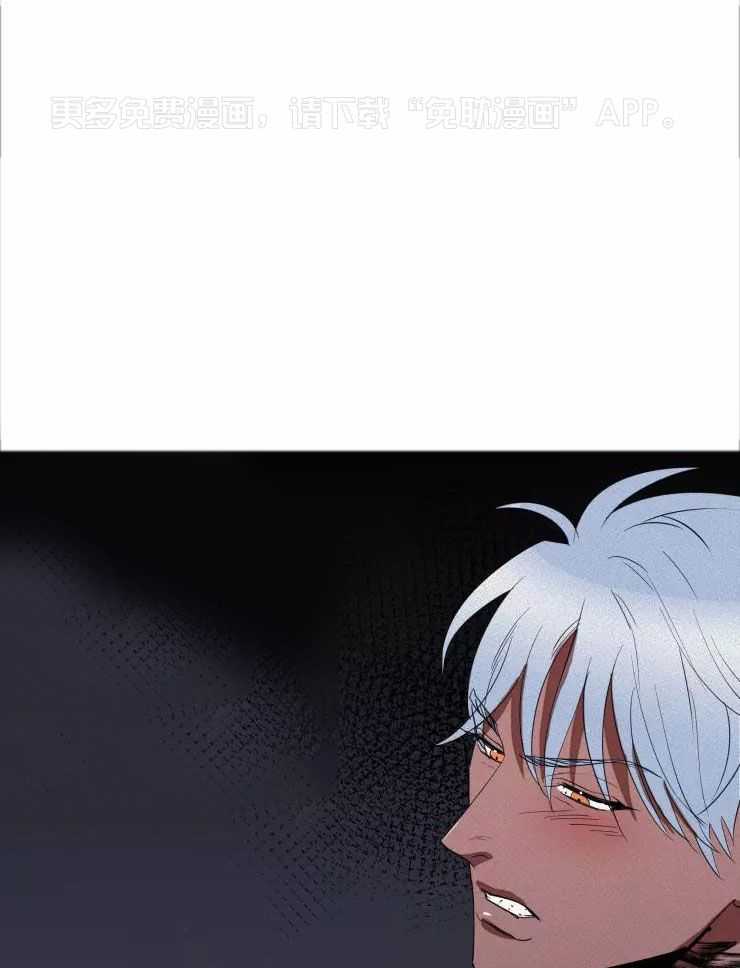 笨蛋杀手送上门第37话图