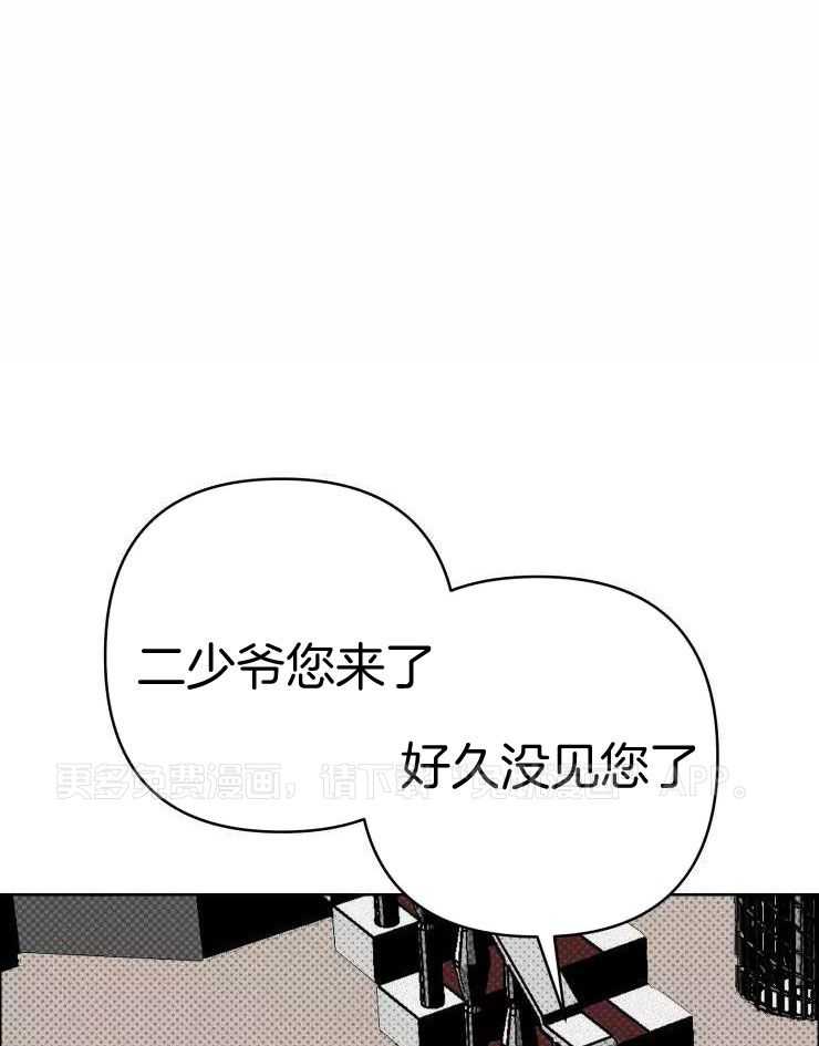 笨蛋杀手送上门第50话图