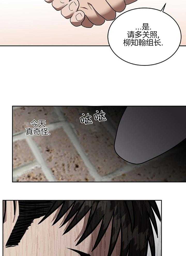 不差上下第41话图