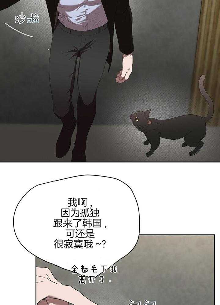 不差上下第49话图