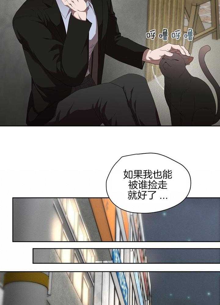 不差上下第49话图