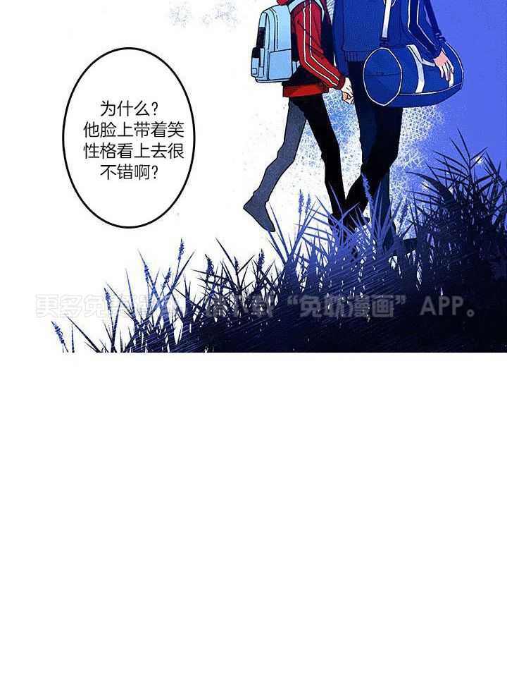 布偶社第13话图
