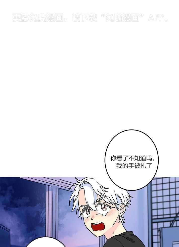 布偶社第20话图