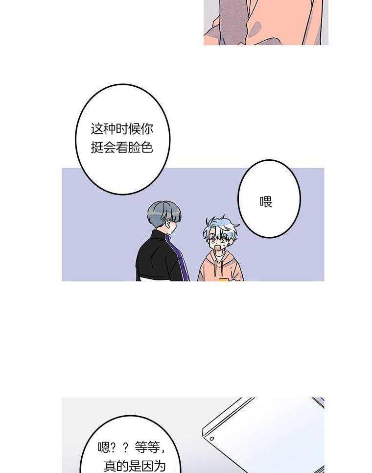 布偶社第35话图