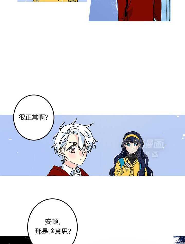 布偶社第42话图