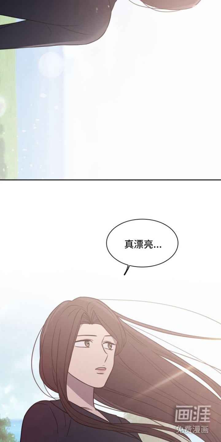 玻璃花漫画-图4