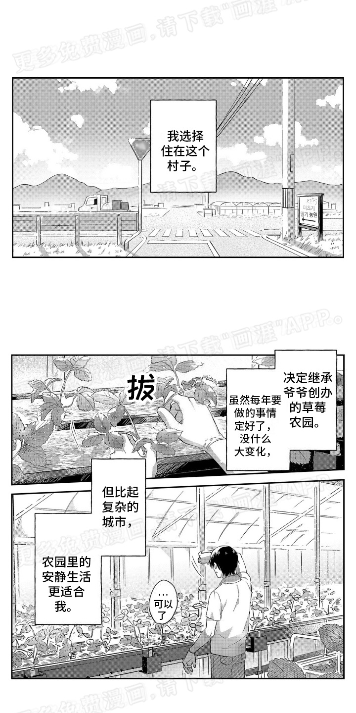 比草莓更甜第1话图