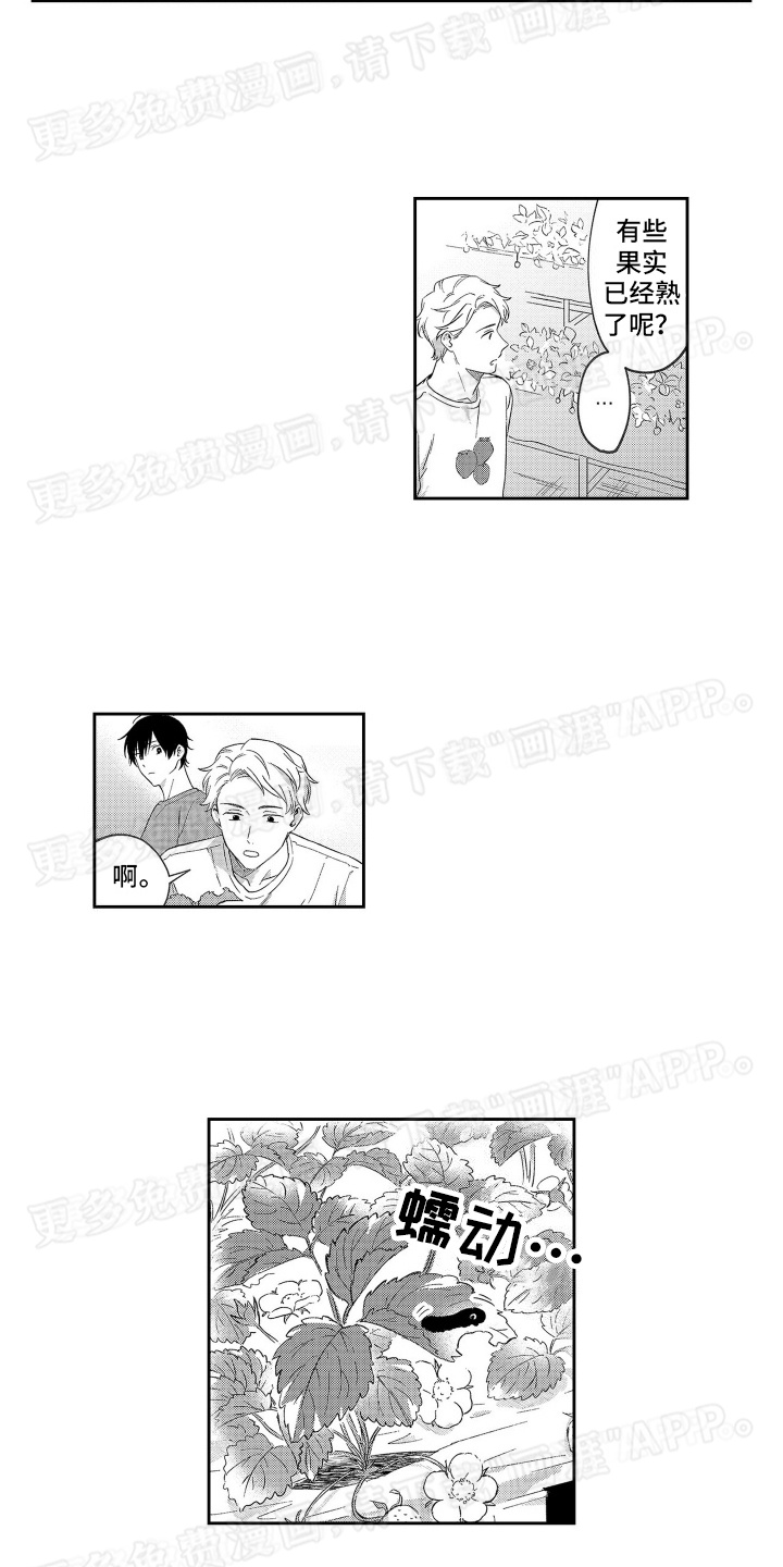 比草莓更甜第7话图
