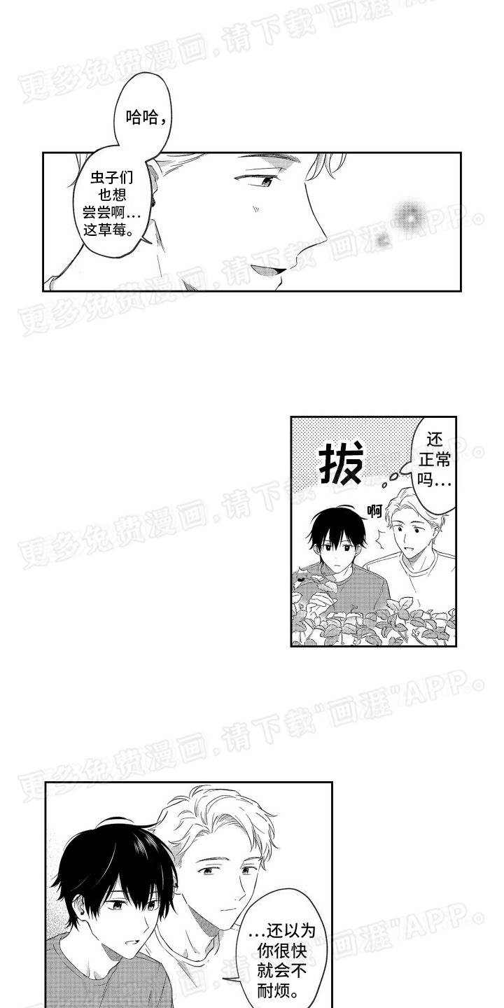 比草莓更甜第7话图