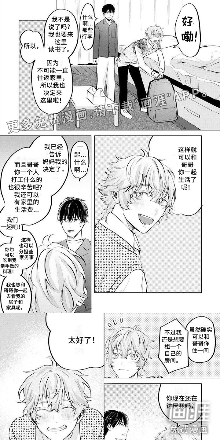 不懂爱的兄弟第4话图