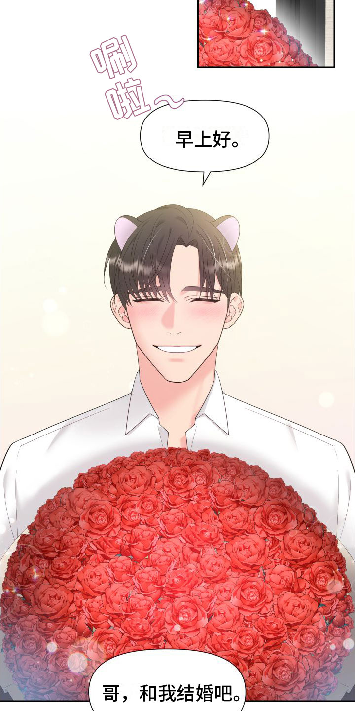 豹子爱上兔第1话图