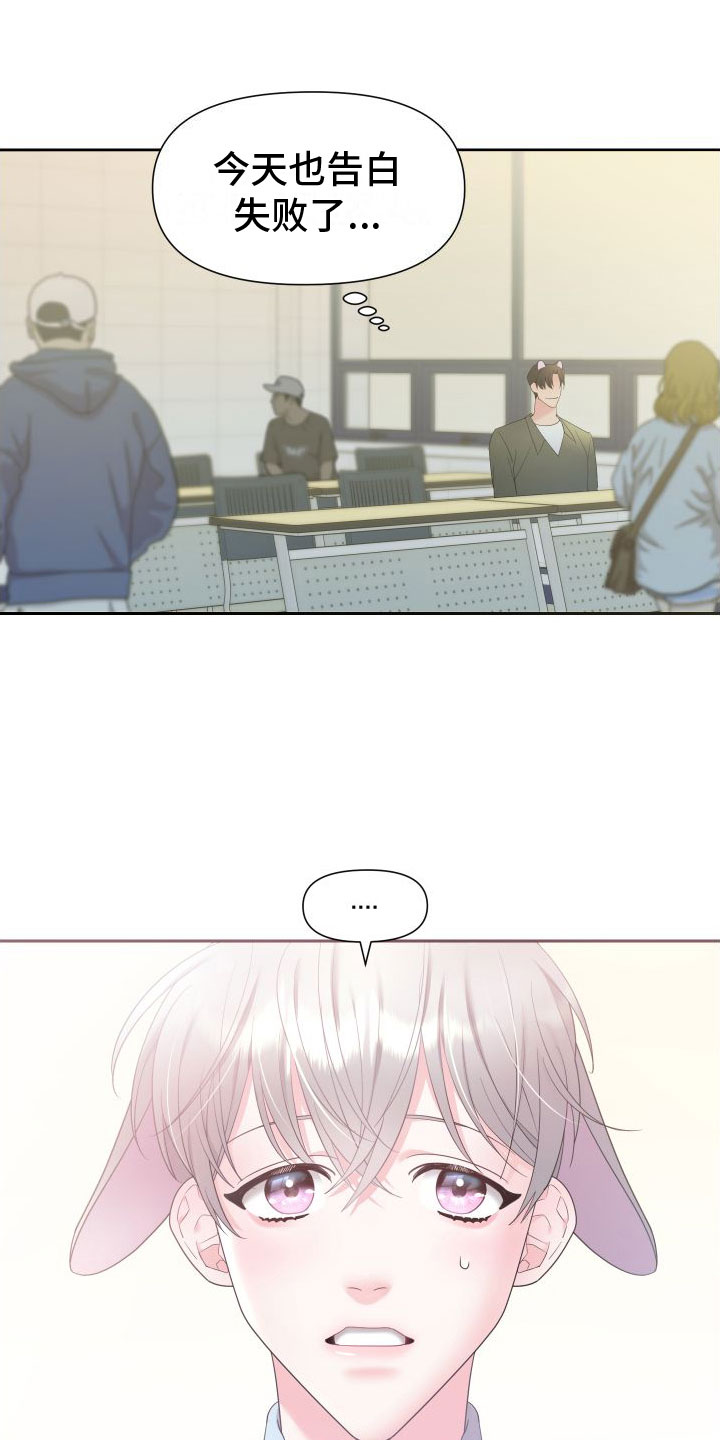 豹子爱上兔第2话图