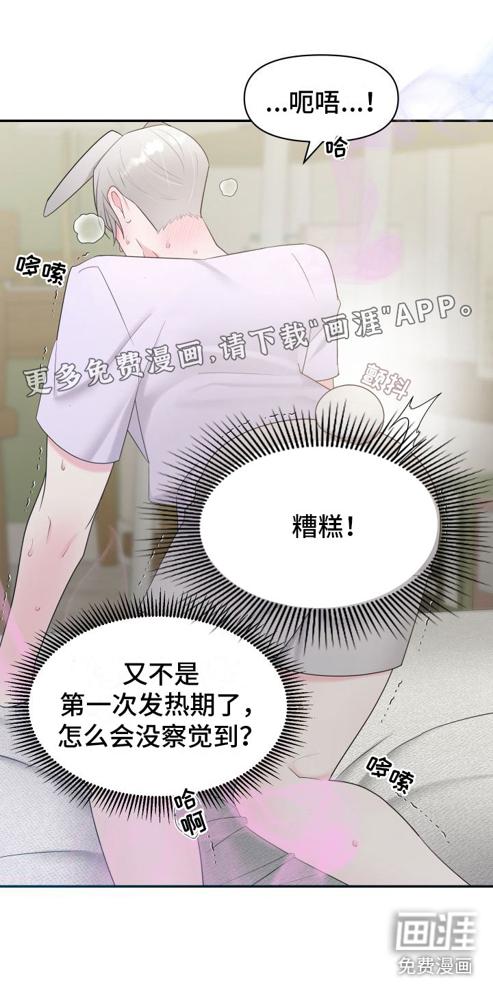 豹子爱上兔第4话图