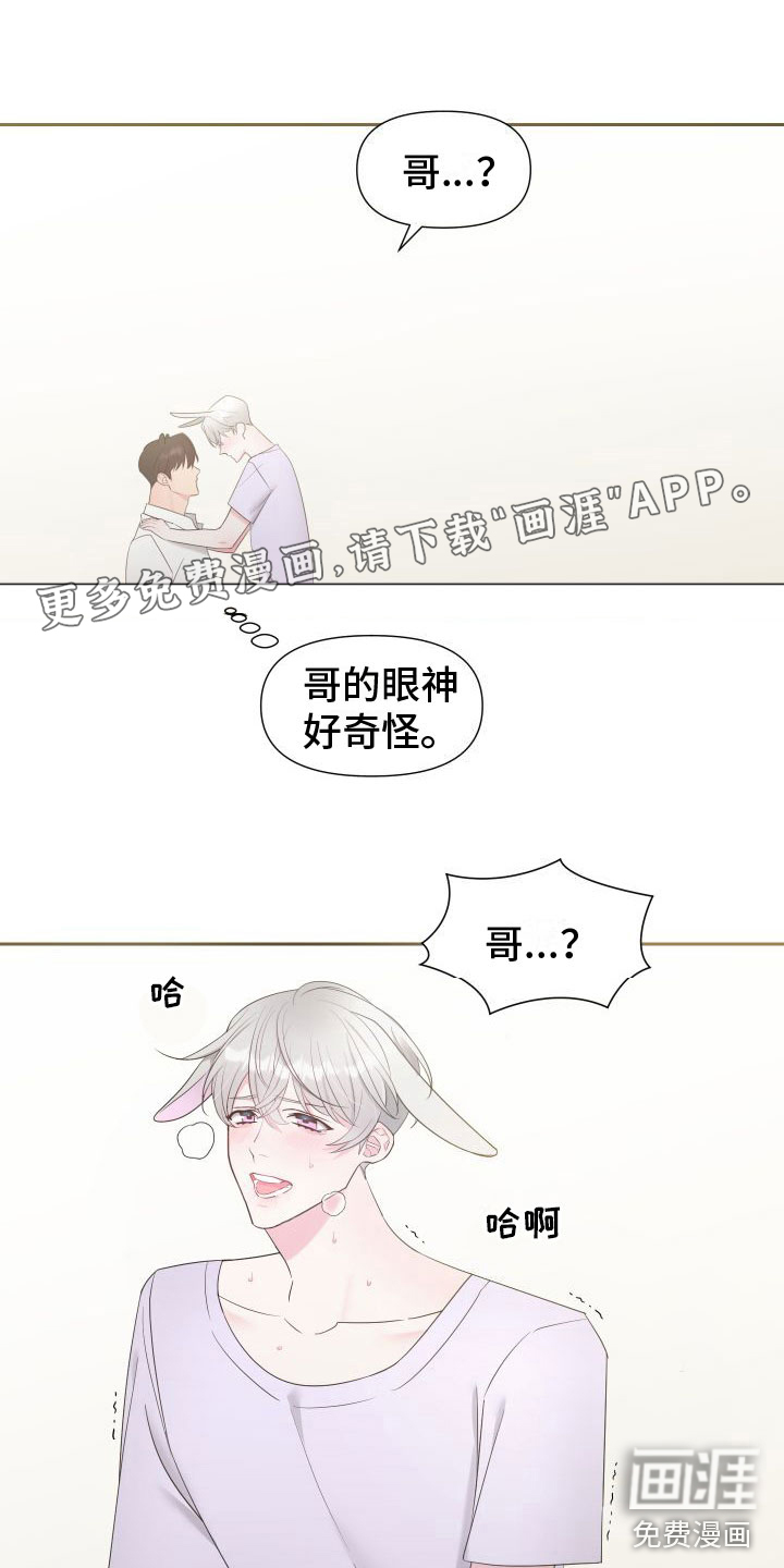 豹子爱上兔第5话图