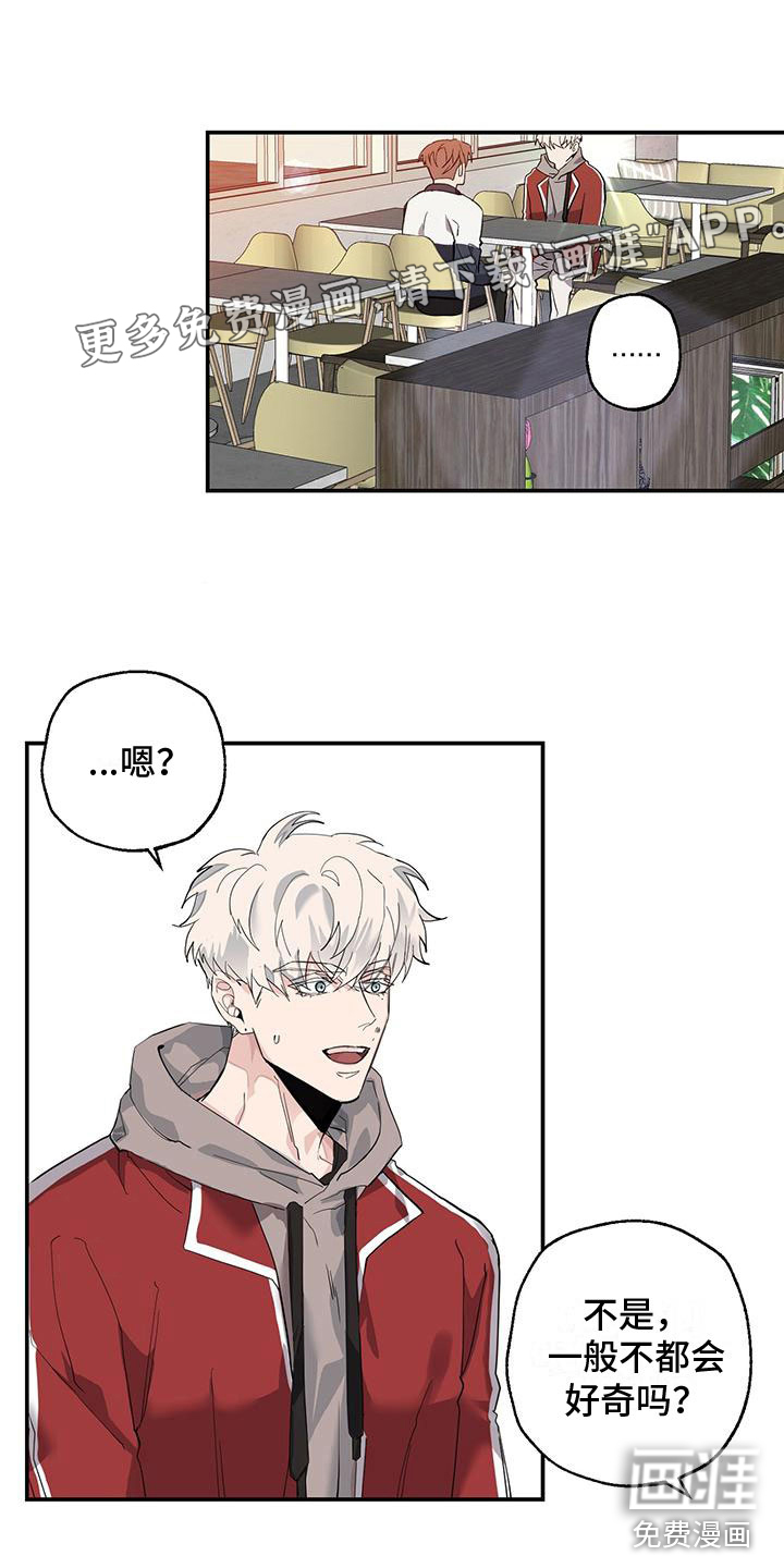 被吞下的阴影第9话图