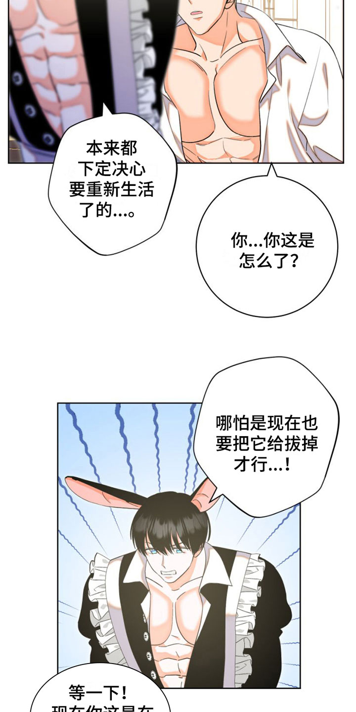 不断的缰绳第3话图