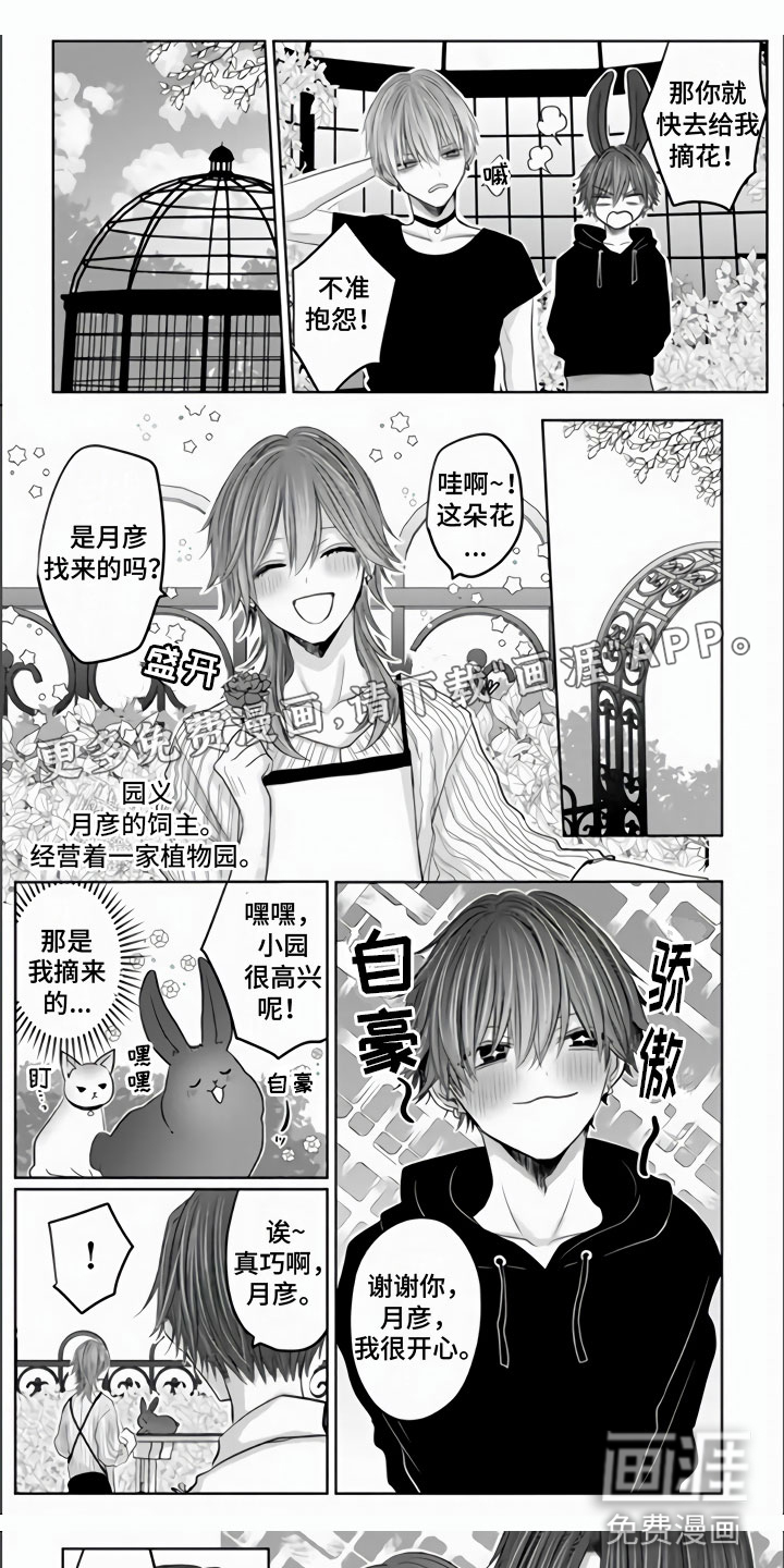 不眠之夜第11话图