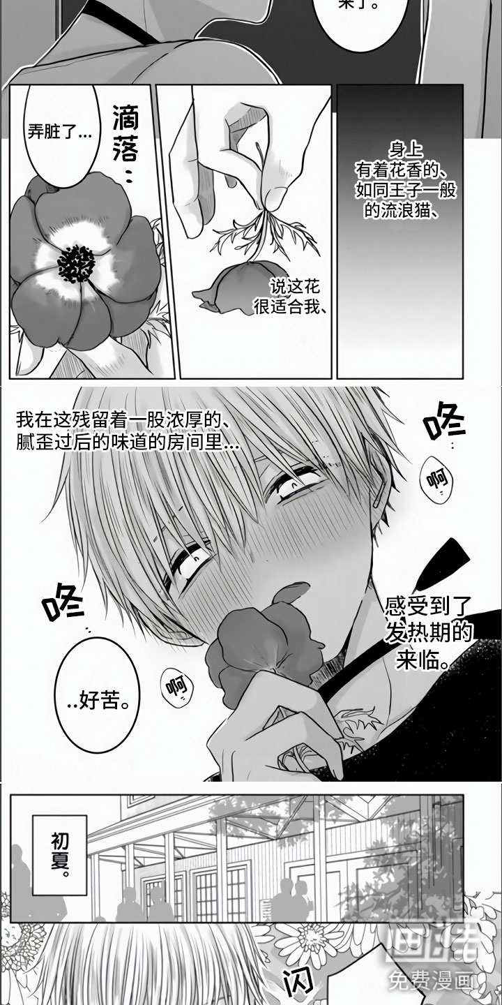 不眠之夜第13话图