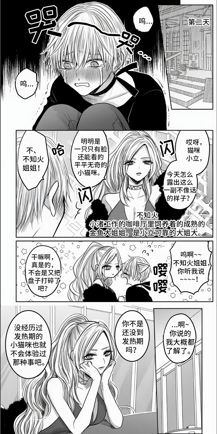 不眠之夜第2话图