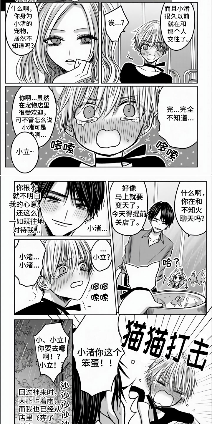 不眠之夜第2话图