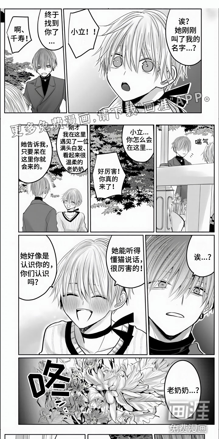 不眠之夜第22话图