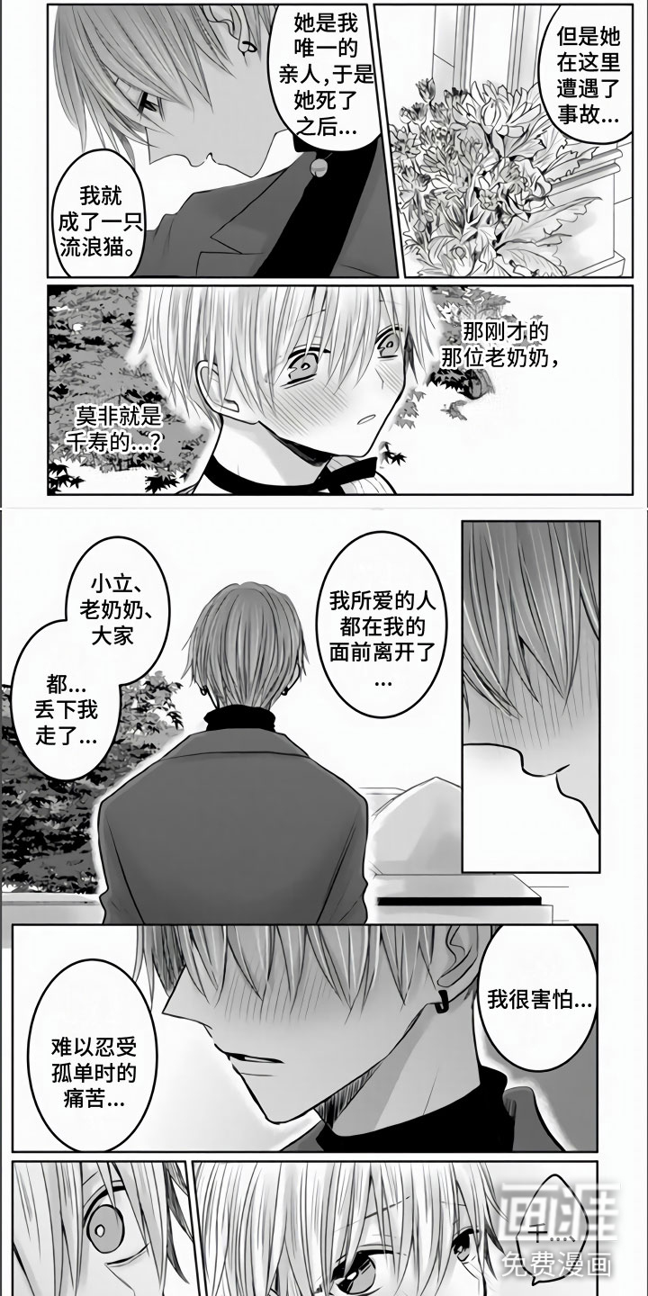 不眠之夜第22话图