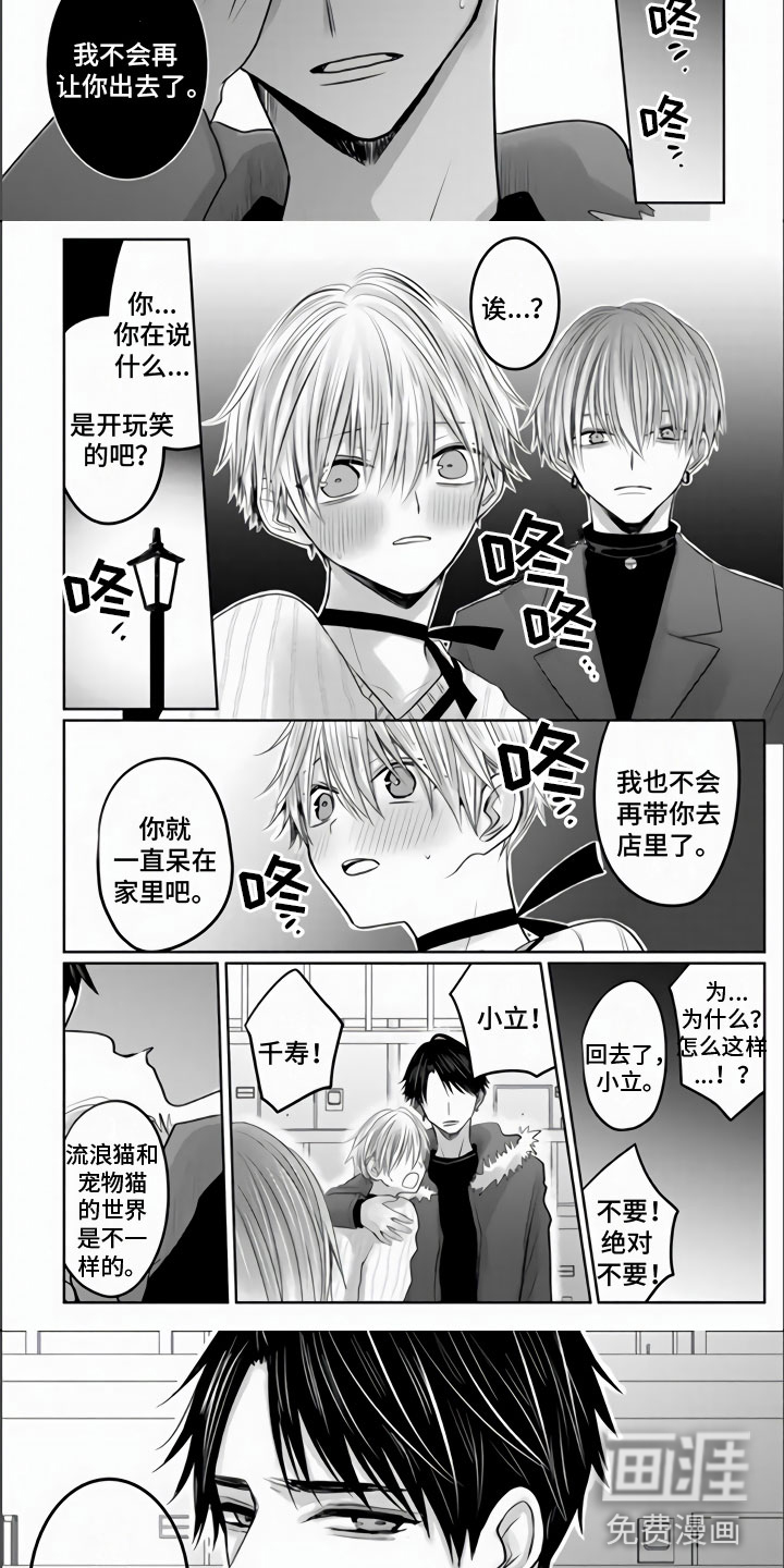 不眠之夜第23话图