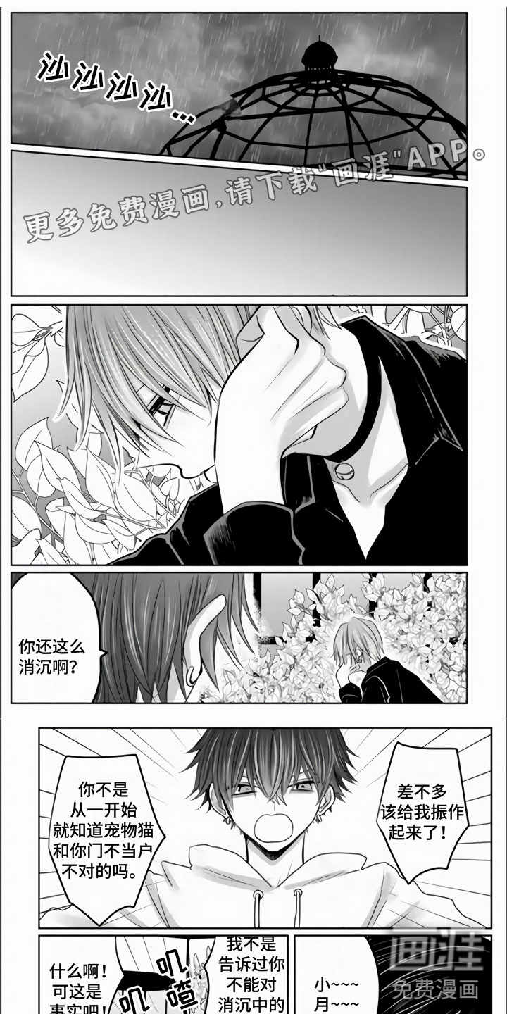 不眠之夜第25话图