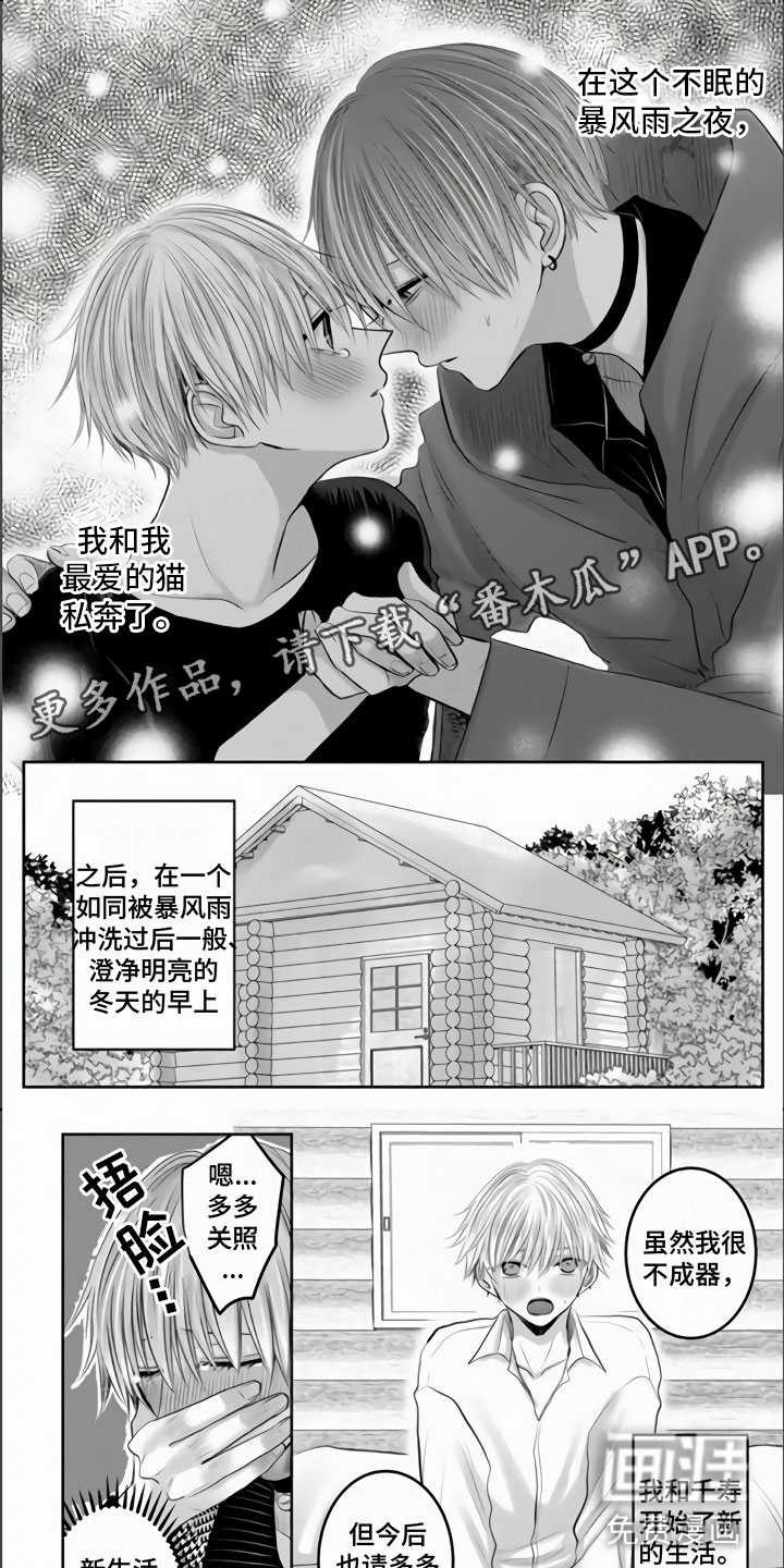 不眠之夜第28话图