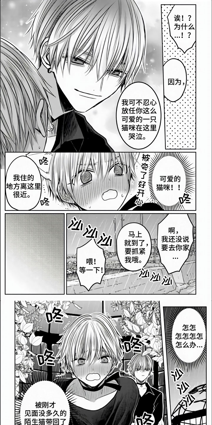 不眠之夜第3话图