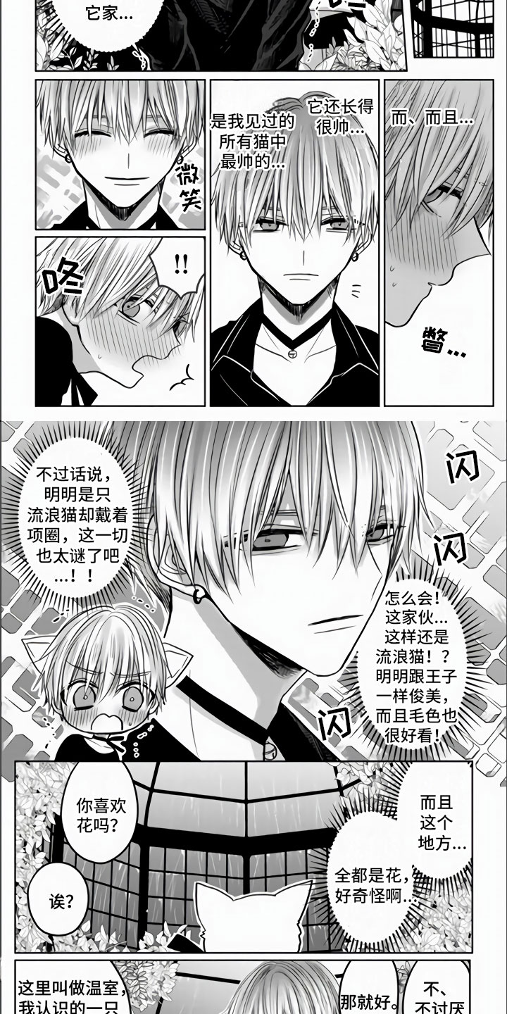 不眠之夜第3话图