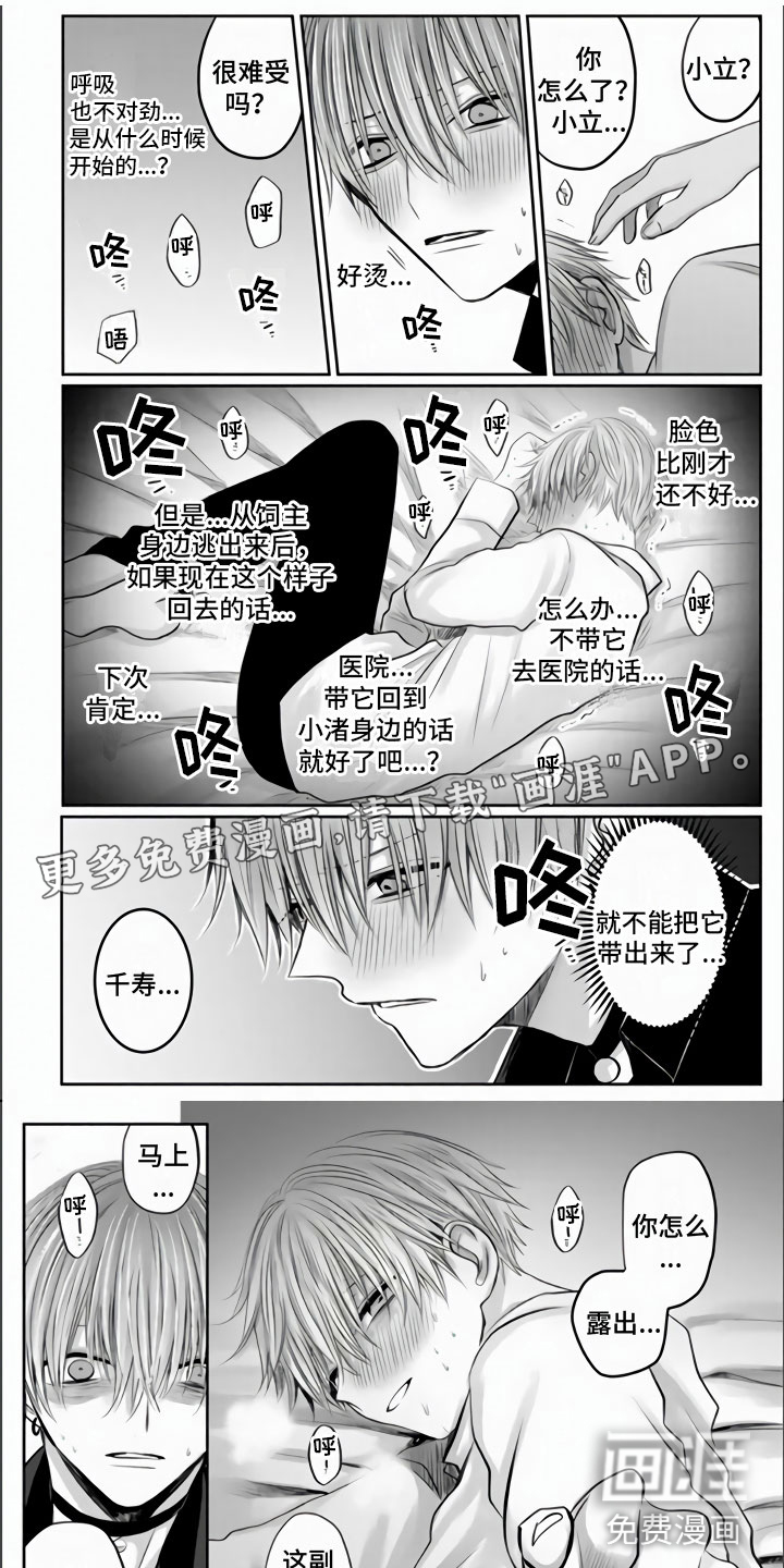 不眠之夜第31话图