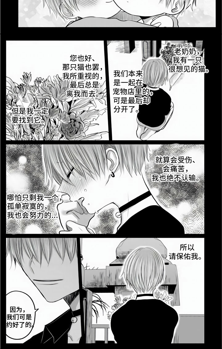 不眠之夜第33话图