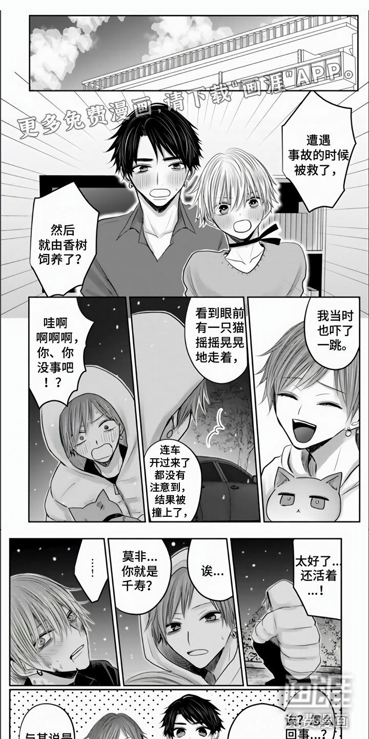 不眠之夜第35话图