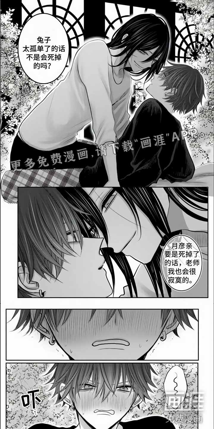 不眠之夜第36话图