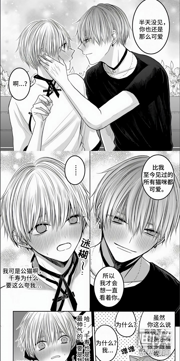 不眠之夜第8话图