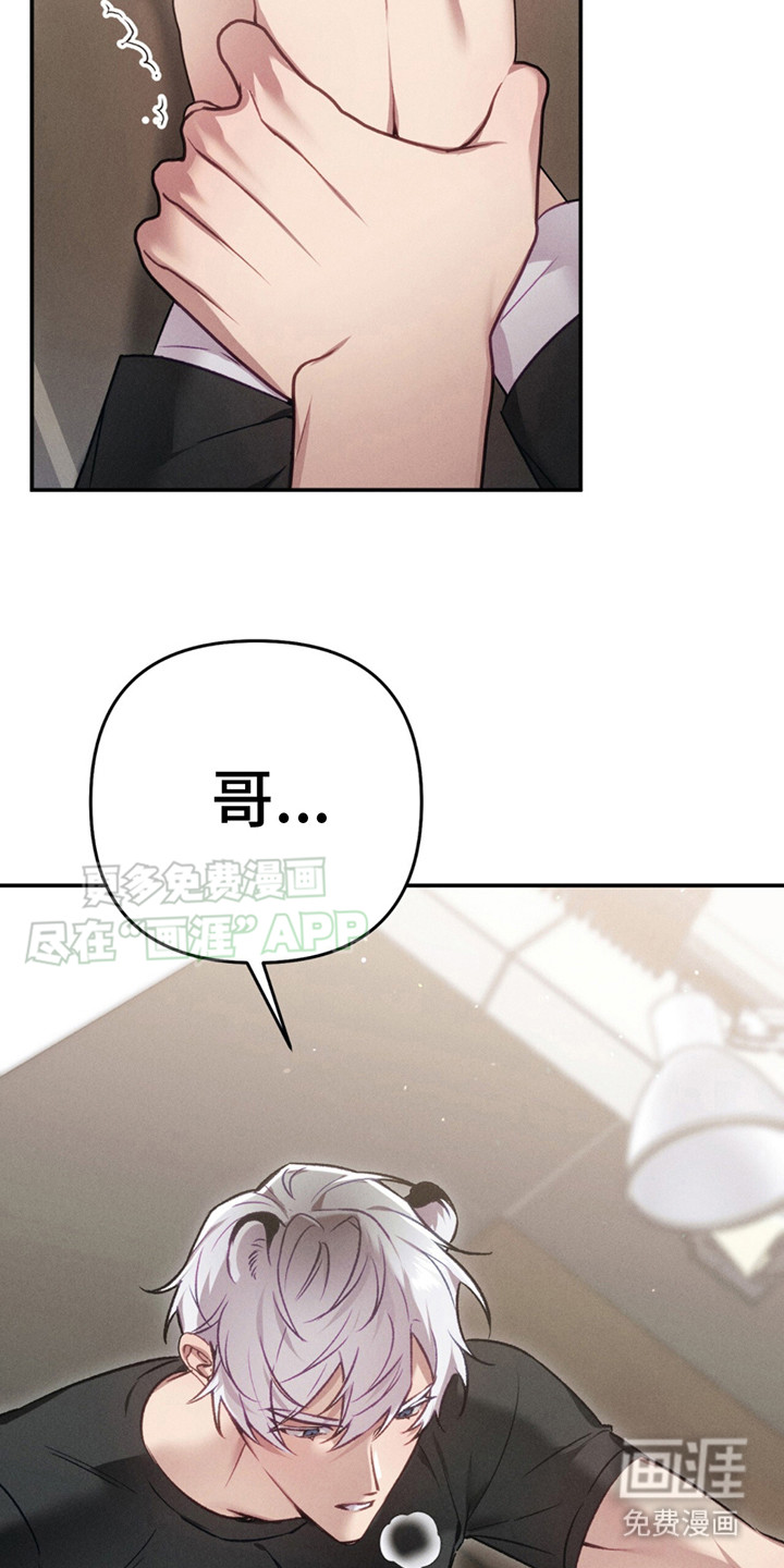 豹豹大狗狗第1话图