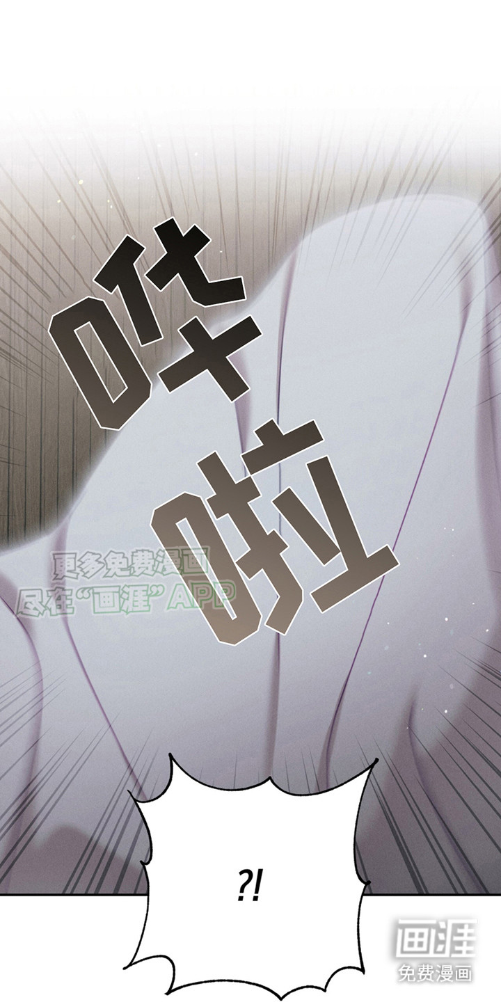 豹豹大狗狗第3话图