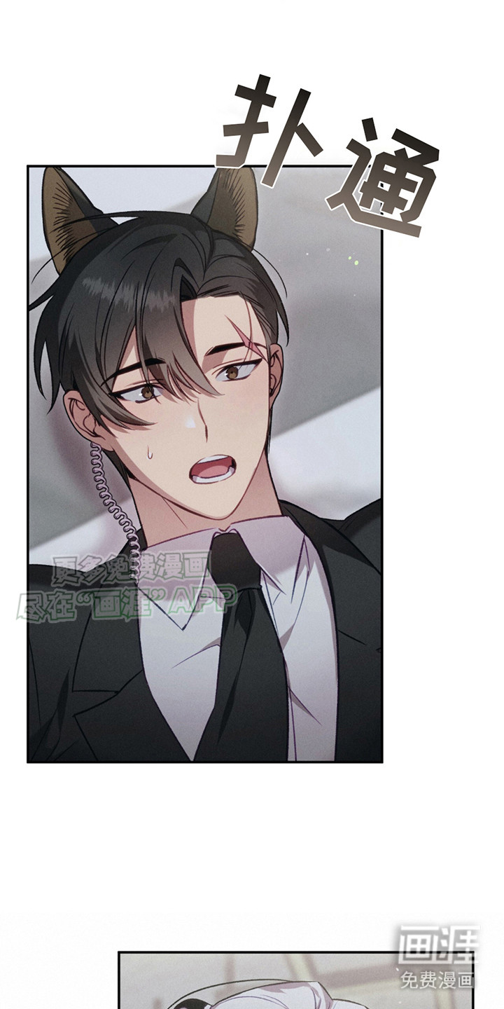 豹豹大狗狗第3话图