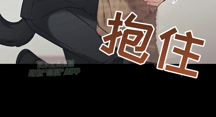 豹豹大狗狗第6话图