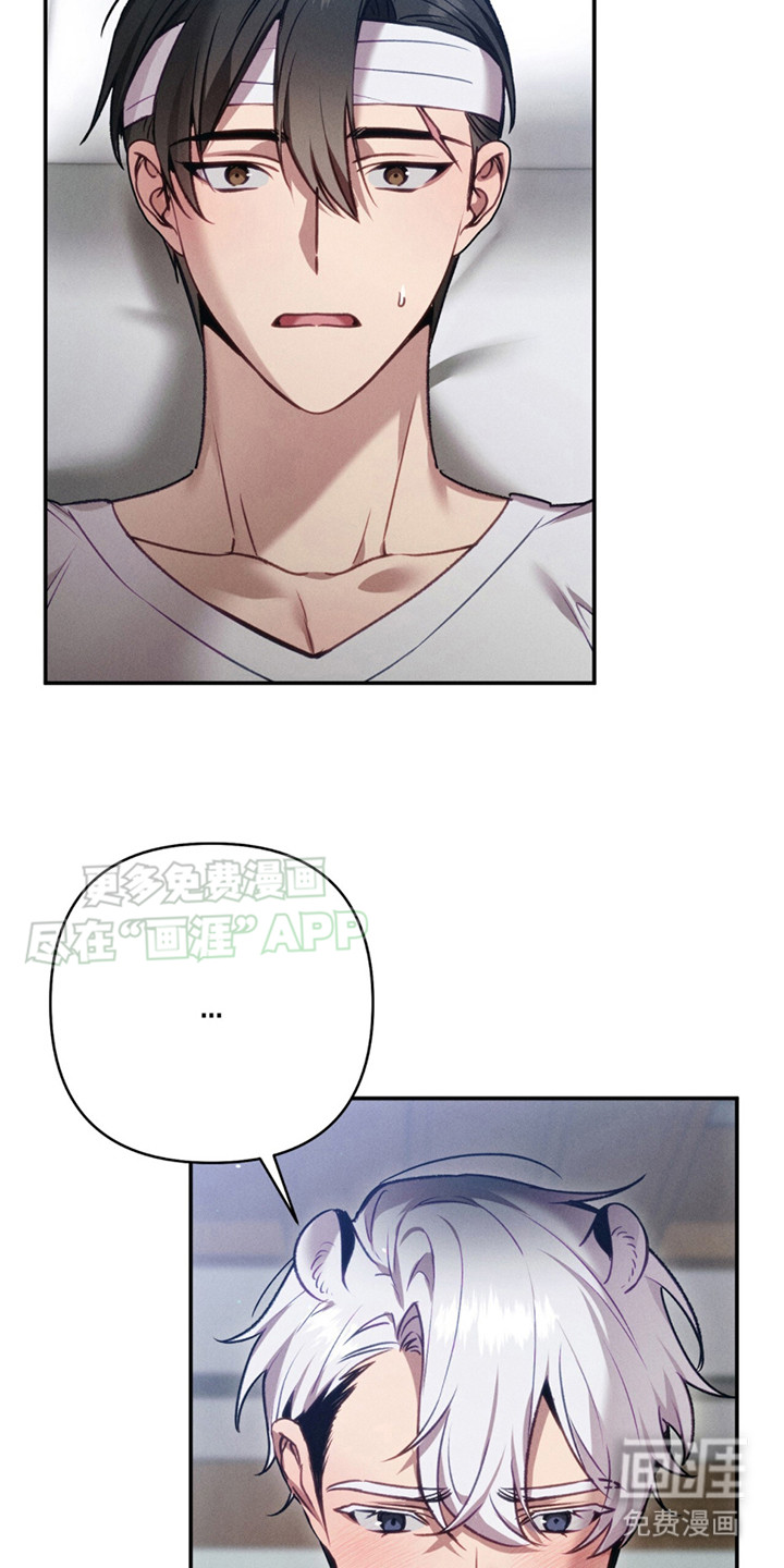 豹豹大狗狗第9话图