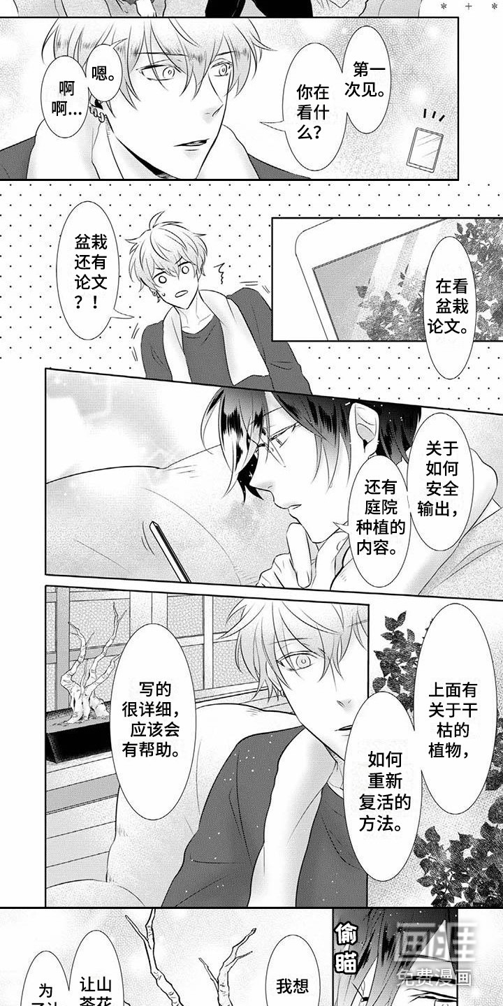 不见凋零第11话图