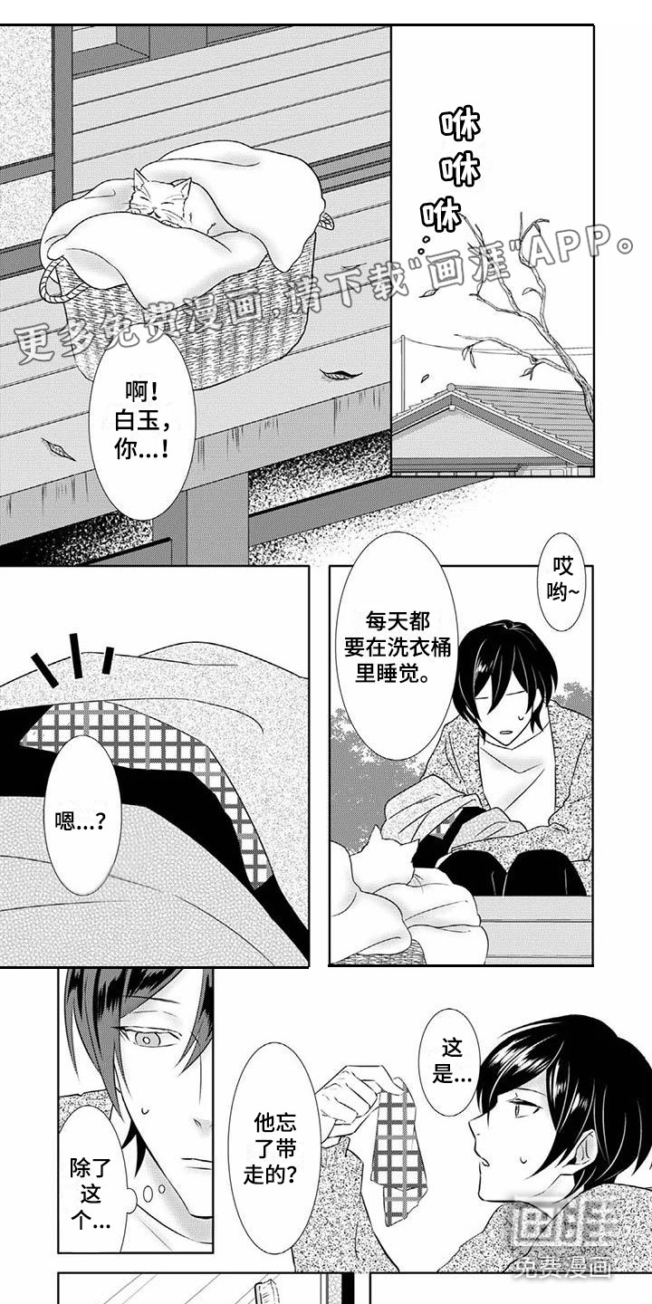 不见凋零第7话图