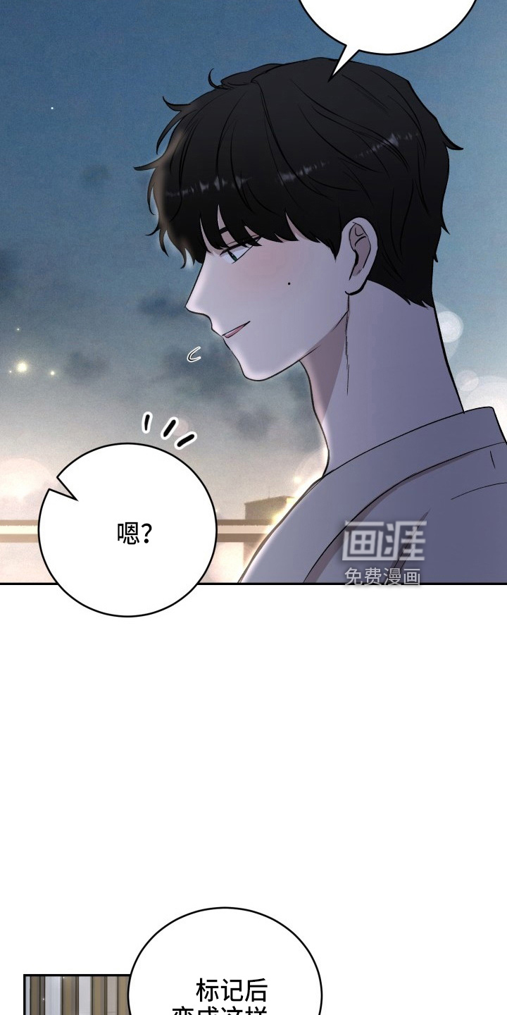 标记阿尔法第38话图