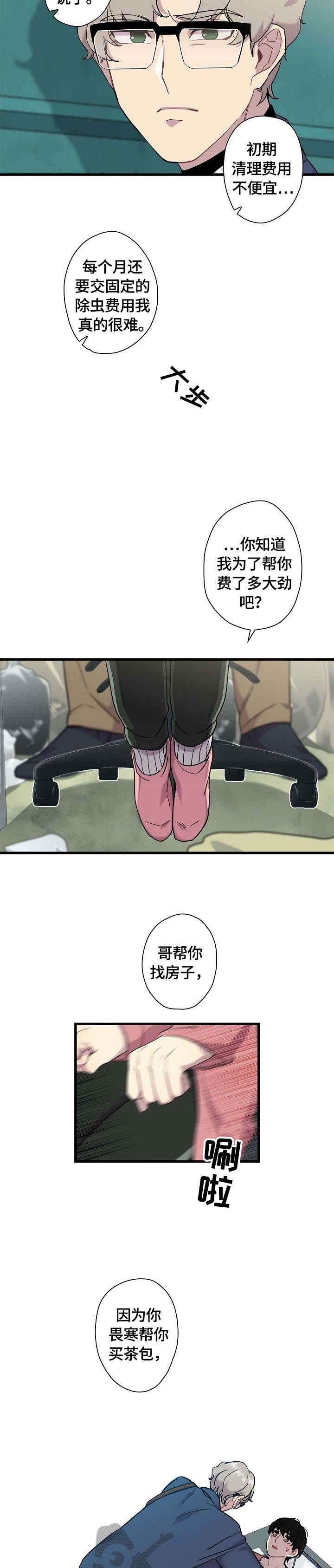 保洁陷阱第3话图