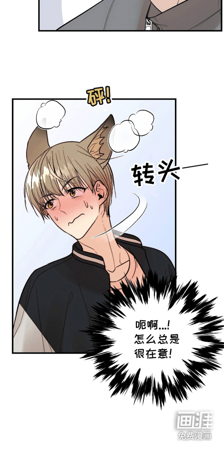 半妖餐厅第15话图