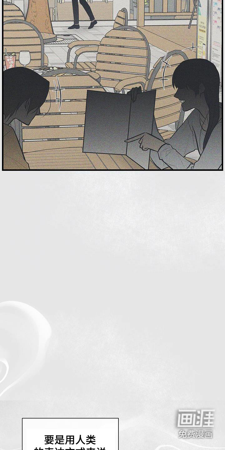 半妖餐厅第24话图